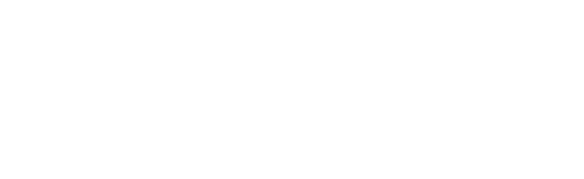 Oneills Logo